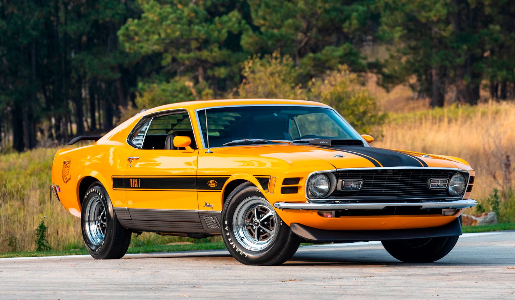 Những mẫu xe Ford Mustang hiếm nhất từng được sản xuất- Ảnh 4. Những mẫu xe Ford Mustang hiếm nhất từng được sản xuất- Ảnh 4.
