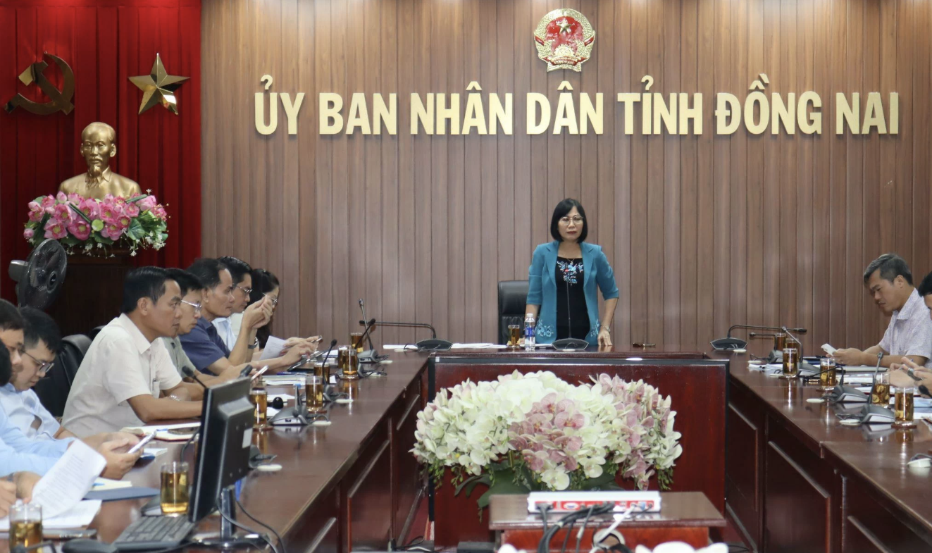 Đồng Nai liên tục phân bổ đất, đá cho dự án cao tốc và sân bay Long Thành- Ảnh 3. Đồng Nai liên tục phân bổ đất, đá cho dự án cao tốc và sân bay Long Thành- Ảnh 3.