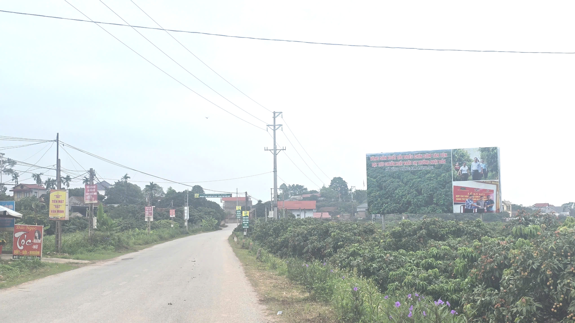 Bắc Giang: Hiệu quả từ chương trình chuyển đổi số trong xây dựng nông thôn mới- Ảnh 1. Bắc Giang: Hiệu quả từ chương trình chuyển đổi số trong xây dựng nông thôn mới- Ảnh 1.
