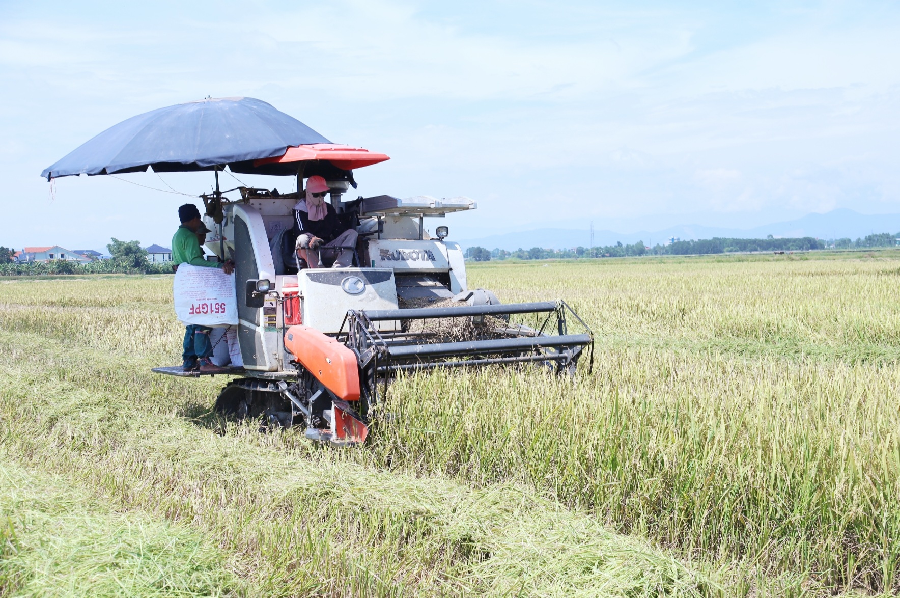 Năng suất lúa ở Hà Tĩnh tăng cao nhờ ứng dụng khoa học kỹ thuật- Ảnh 1. Năng suất lúa ở Hà Tĩnh tăng cao nhờ ứng dụng khoa học kỹ thuật- Ảnh 1.