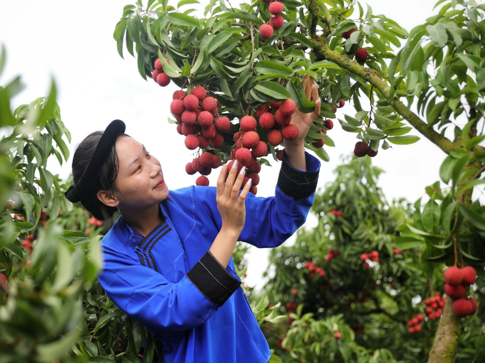 Xã Phúc Hòa (Bắc Giang): Điểm sáng chuyển đổi số trong xây dựng nông thôn mới- Ảnh 1. Xã Phúc Hòa (Bắc Giang): Điểm sáng chuyển đổi số trong xây dựng nông thôn mới- Ảnh 1.