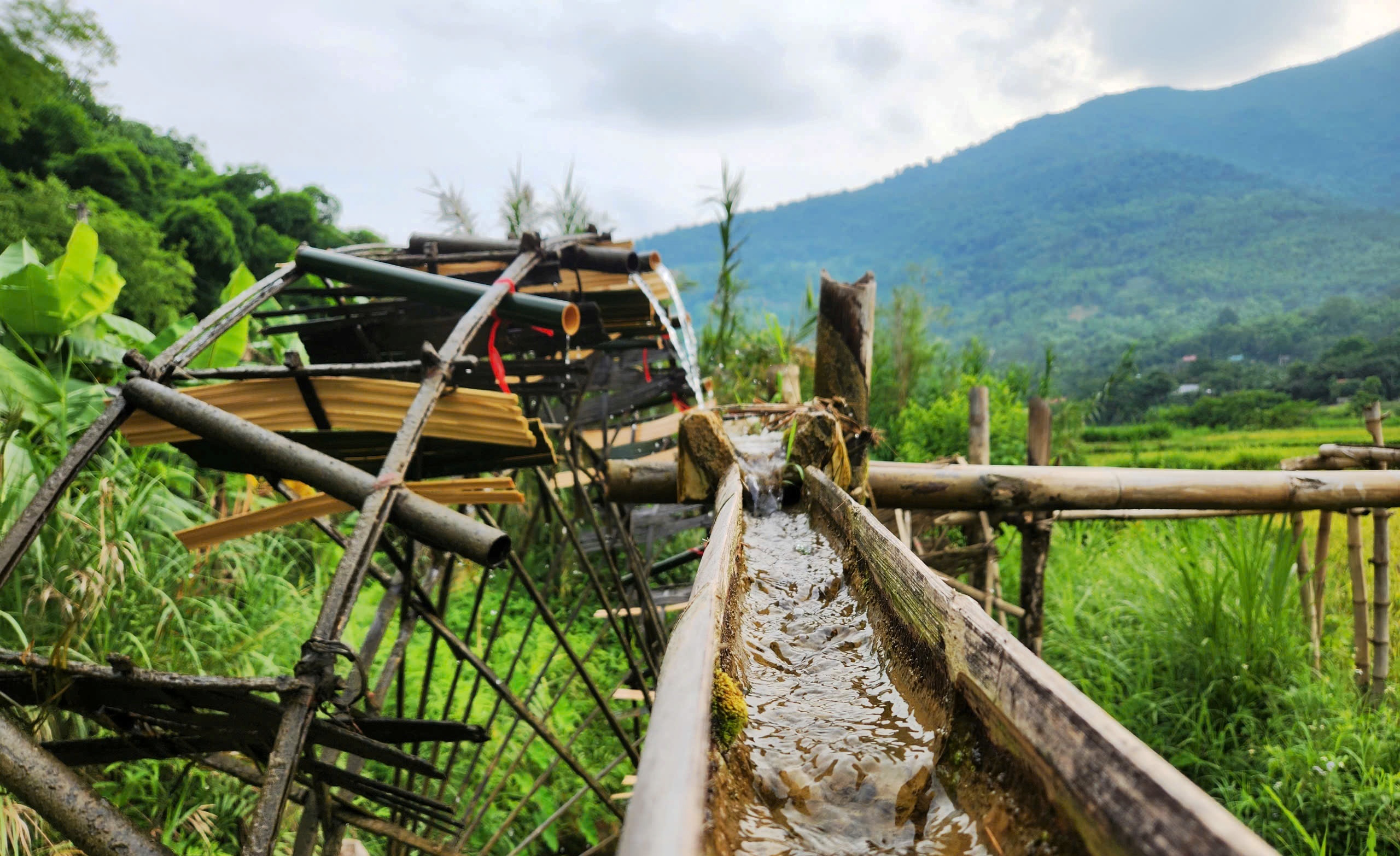 Miền Tây Thanh Hóa đẹp mê hồn giữa núi rừng, thác đổ và mùa vàng- Ảnh 13.