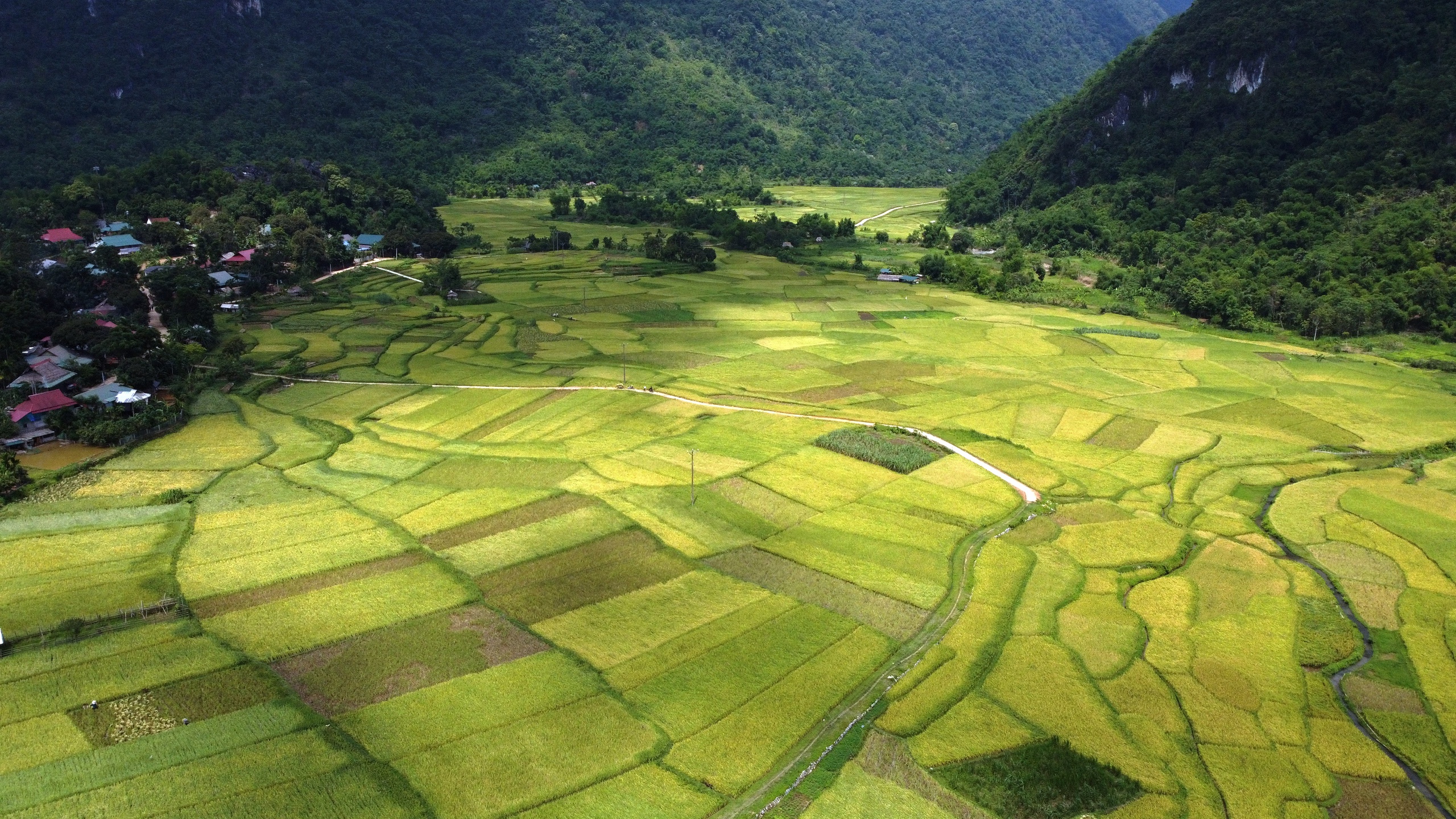 Miền Tây Thanh Hóa đẹp mê hồn giữa núi rừng, thác đổ và mùa vàng- Ảnh 7.