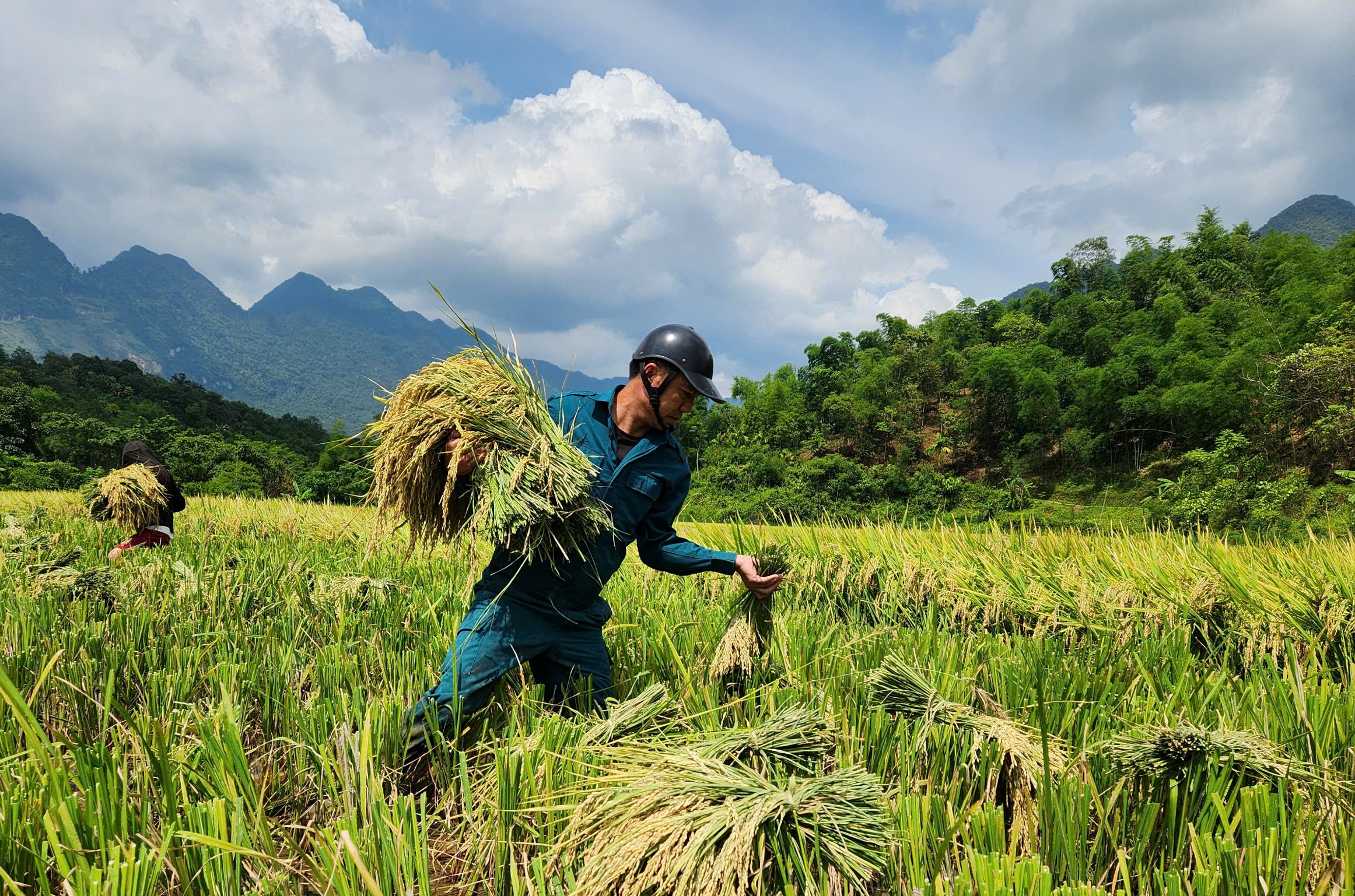 Miền Tây Thanh Hóa đẹp mê hồn giữa núi rừng, thác đổ và mùa vàng- Ảnh 9.
