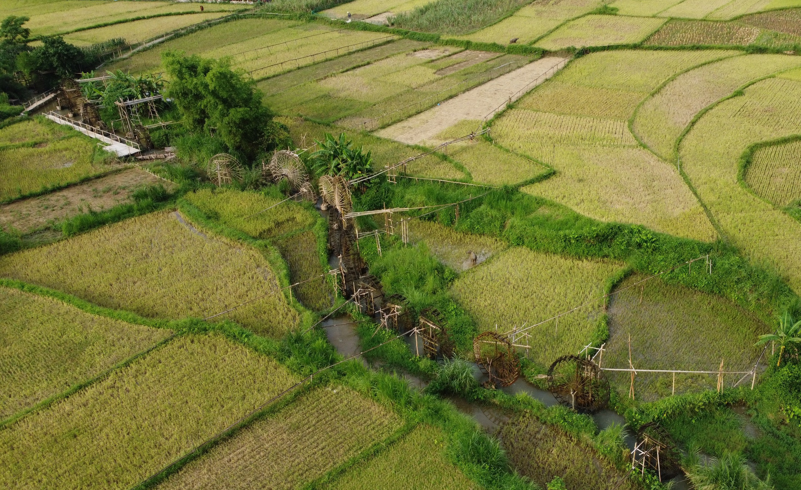 Miền Tây Thanh Hóa đẹp mê hồn giữa núi rừng, thác đổ và mùa vàng- Ảnh 11.