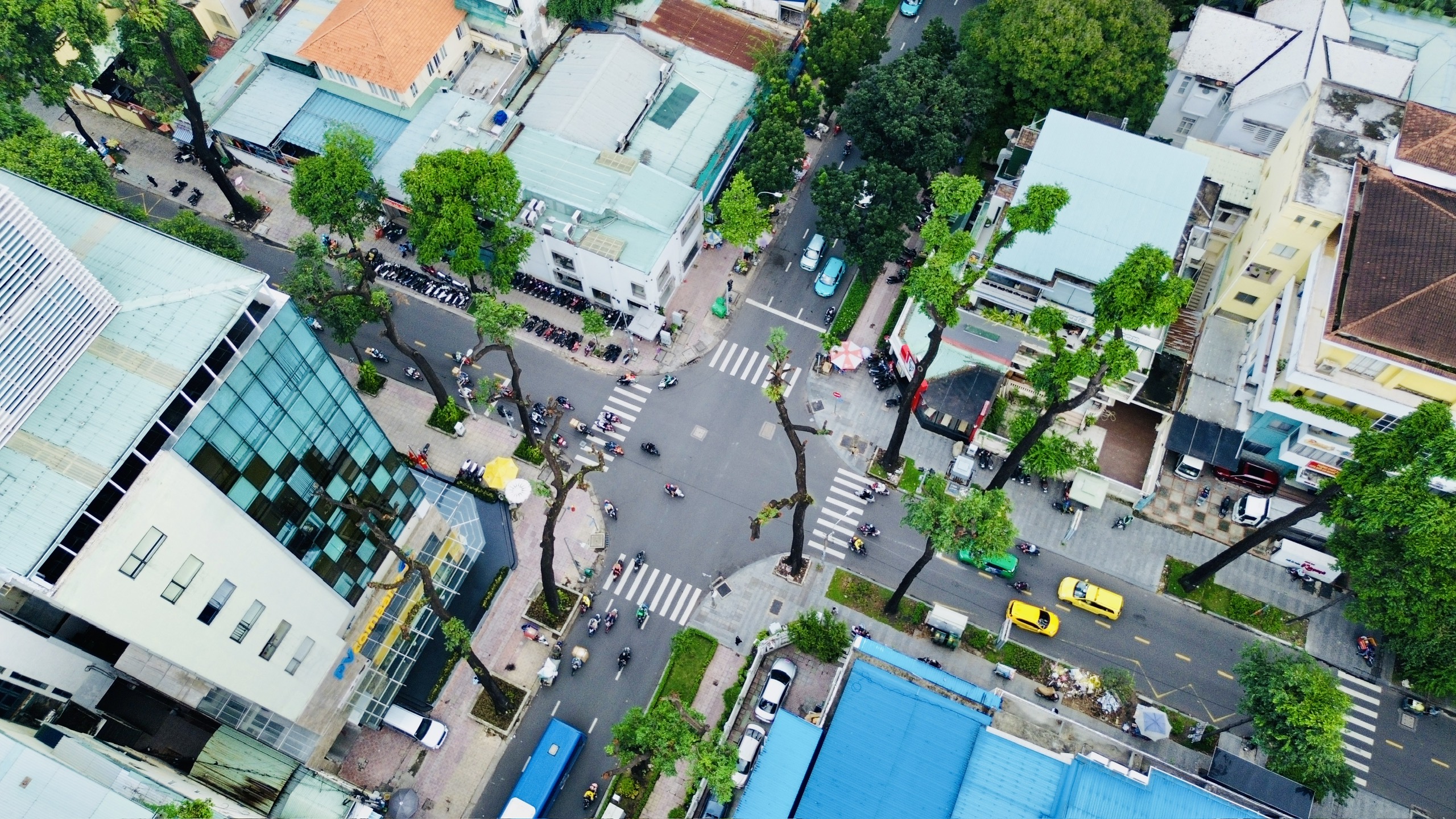 TP.HCM giải bài toán hơn 8.100 cây cổ thụ có nguy cơ mất an toàn- Ảnh 5. TP.HCM giải bài toán hơn 8.100 cây cổ thụ có nguy cơ mất an toàn- Ảnh 5.