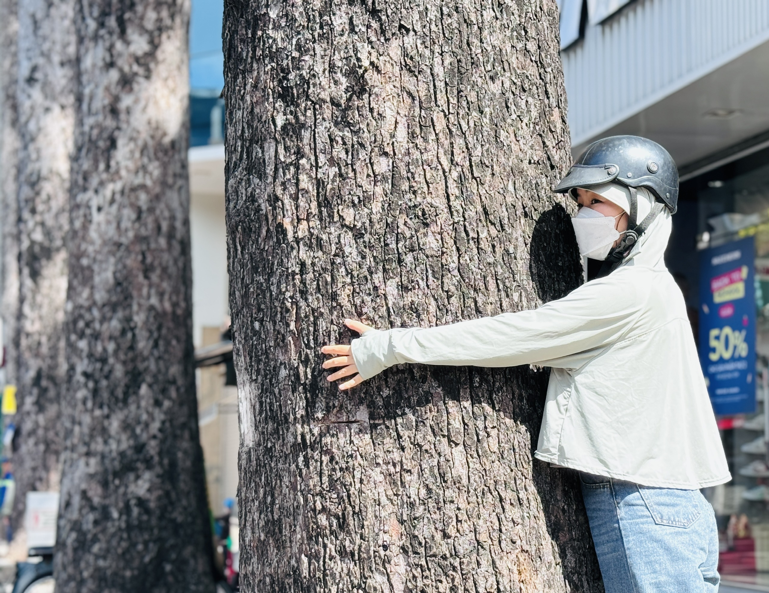 TP.HCM giải bài toán hơn 8.100 cây cổ thụ có nguy cơ mất an toàn- Ảnh 2. TP.HCM giải bài toán hơn 8.100 cây cổ thụ có nguy cơ mất an toàn- Ảnh 2.