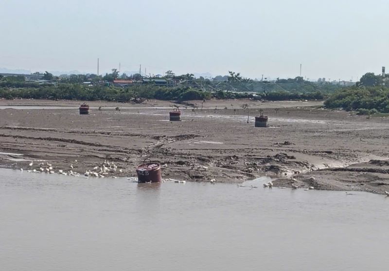 Thanh Hóa: Cảng Hòa Lộc bồi lắng, ngư dân lo tàu thuyền mắc cạn- Ảnh 2.