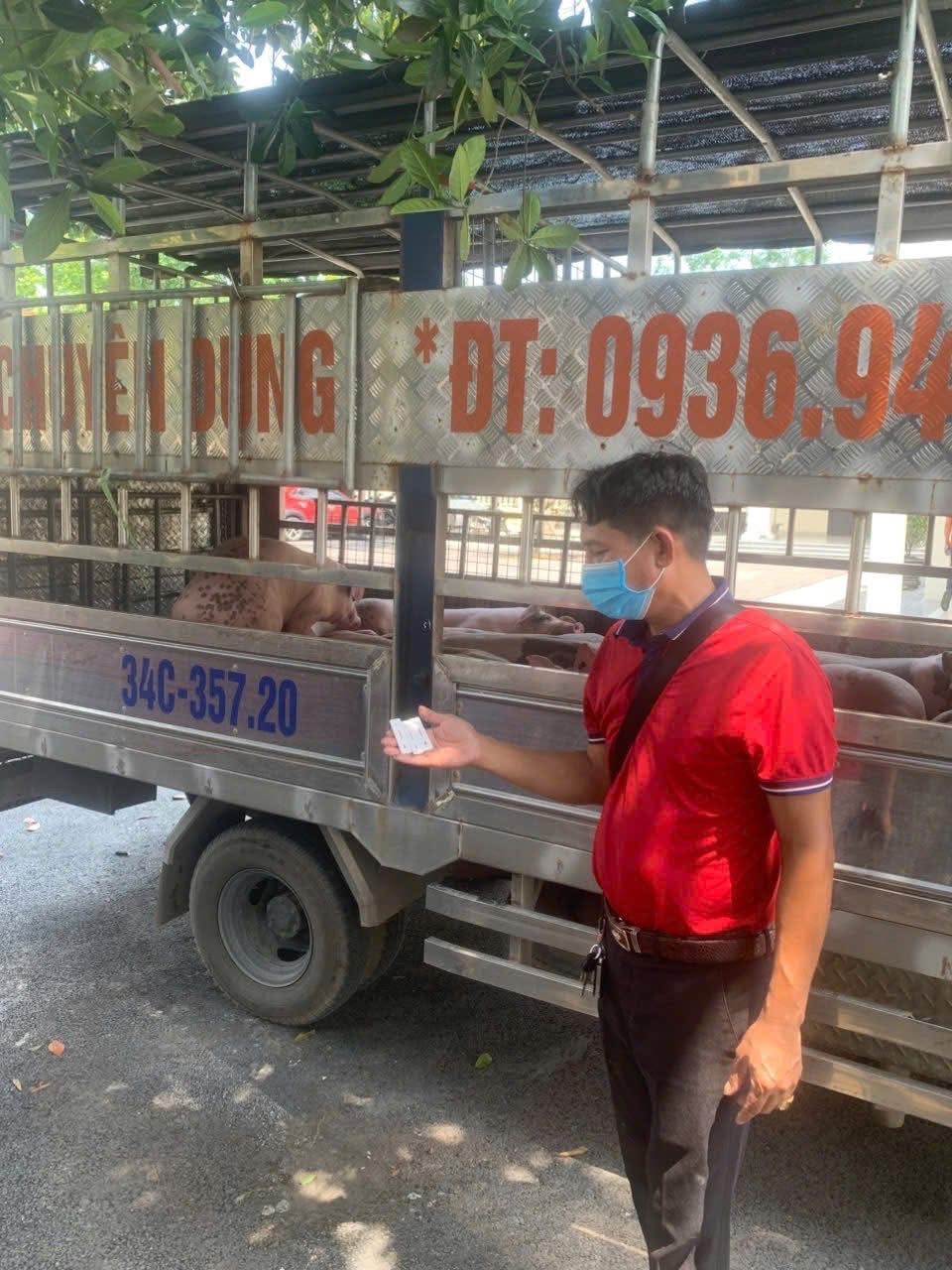 Phú Thọ: Phát hiện, điều tra vụ vận chuyển 1,6 tấn thịt lợn nhiễm bệnh- Ảnh 1.