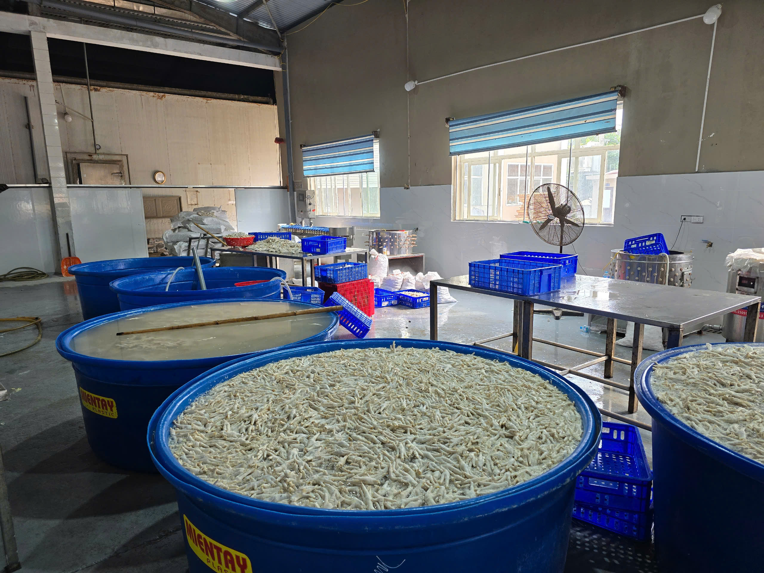 Hơn 13 tấn chân gà không rõ nguồn gốc chuẩn bị tuồn ra thị trường- Ảnh 1. Hơn 13 tấn chân gà không rõ nguồn gốc chuẩn bị tuồn ra thị trường- Ảnh 1.