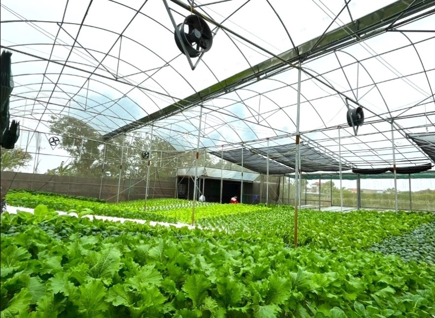 Tầm nhìn "xanh" từ bộ tiêu chí môi trường của Chính phủ và hành động của Agribank- Ảnh 3.