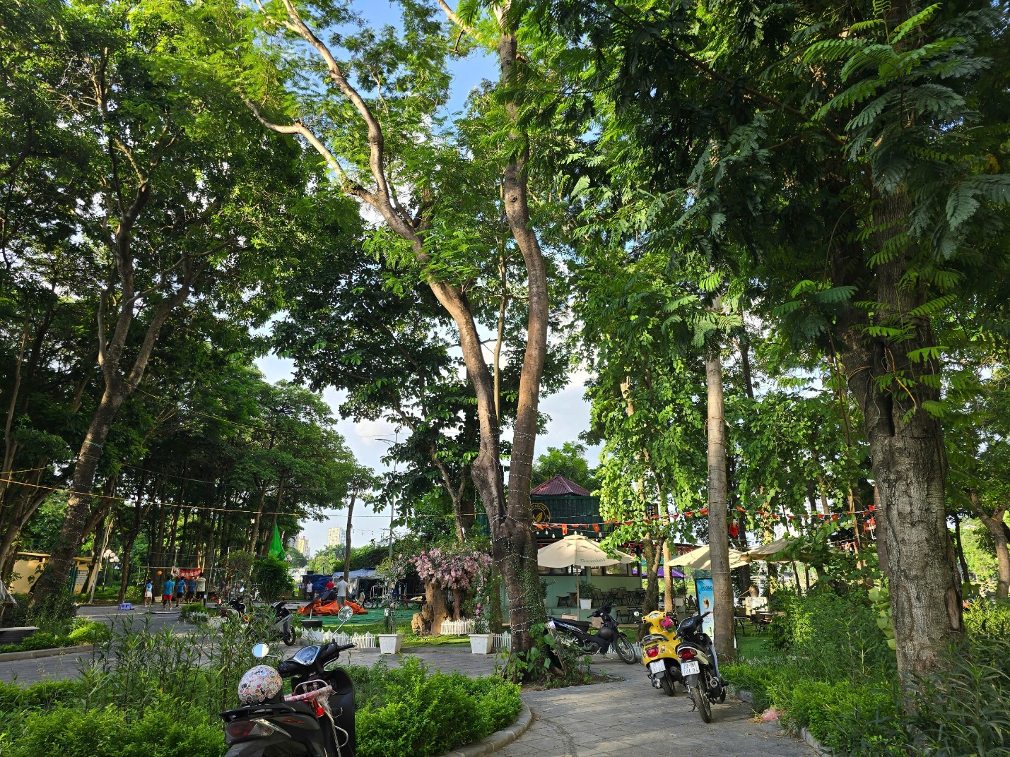 Cần mạnh tay xử lý tình trạng chiếm dụng công viên, hồ nước ở Hà Nội- Ảnh 7.