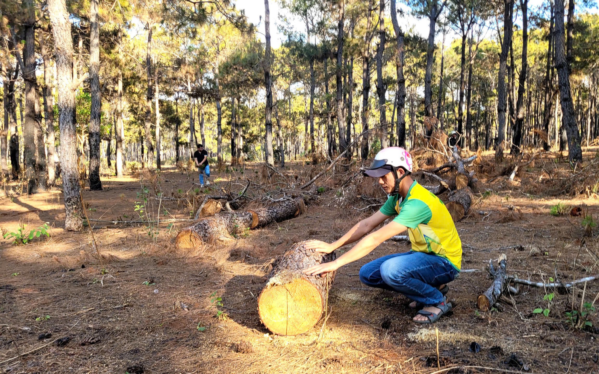 Gia Lai: Cận cảnh dự án sân golf Đak Đoa sau ba năm bỏ hoang