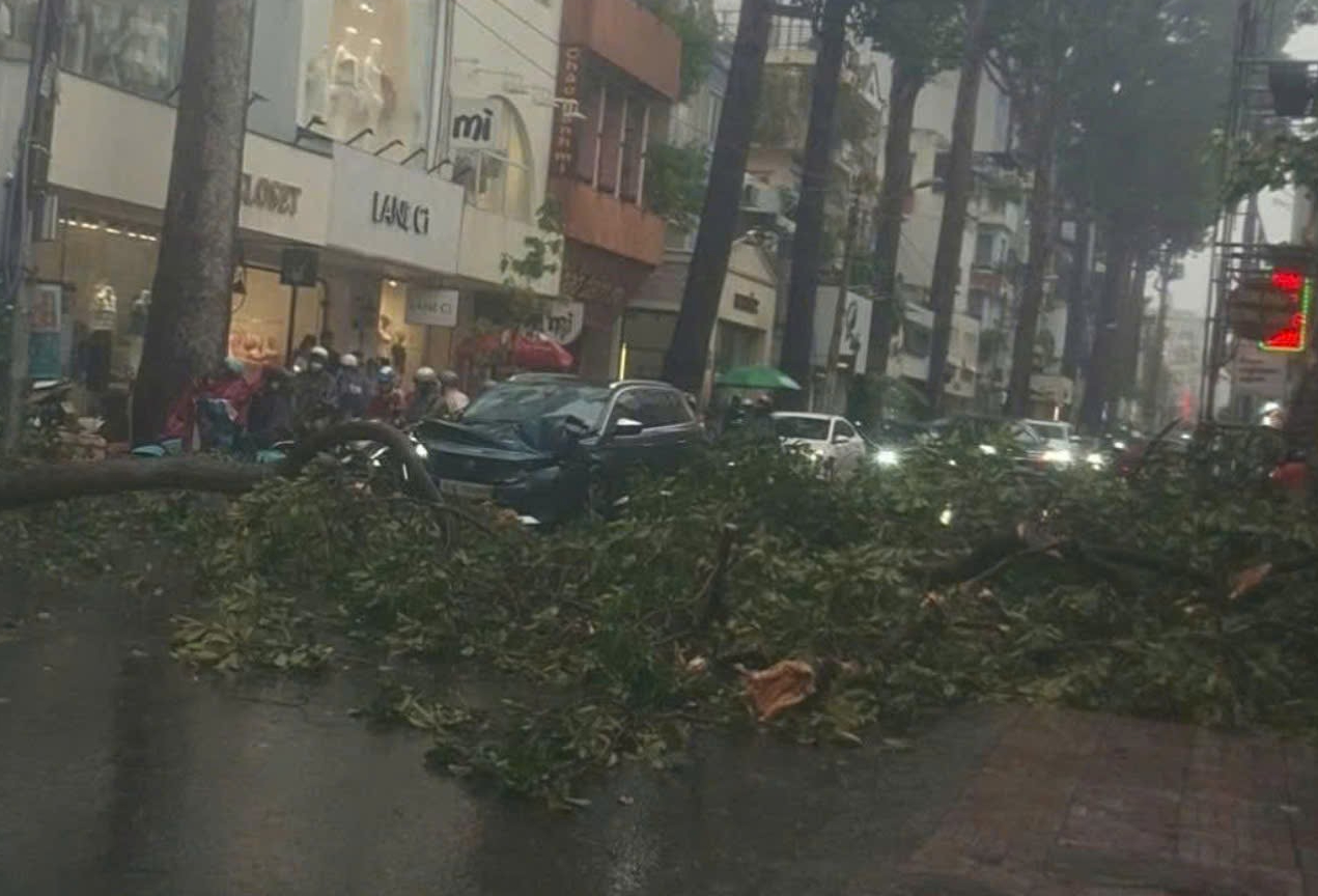 Giông lốc càn quét TP.HCM: Nhiều căn nhà tốc mái, cây xanh, cột điện ngã đổ- Ảnh 12.