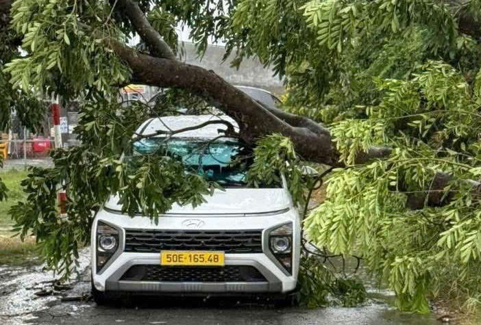 Giông lốc càn quét TP.HCM: Nhiều căn nhà tốc mái, cây xanh, cột điện ngã đổ- Ảnh 1.