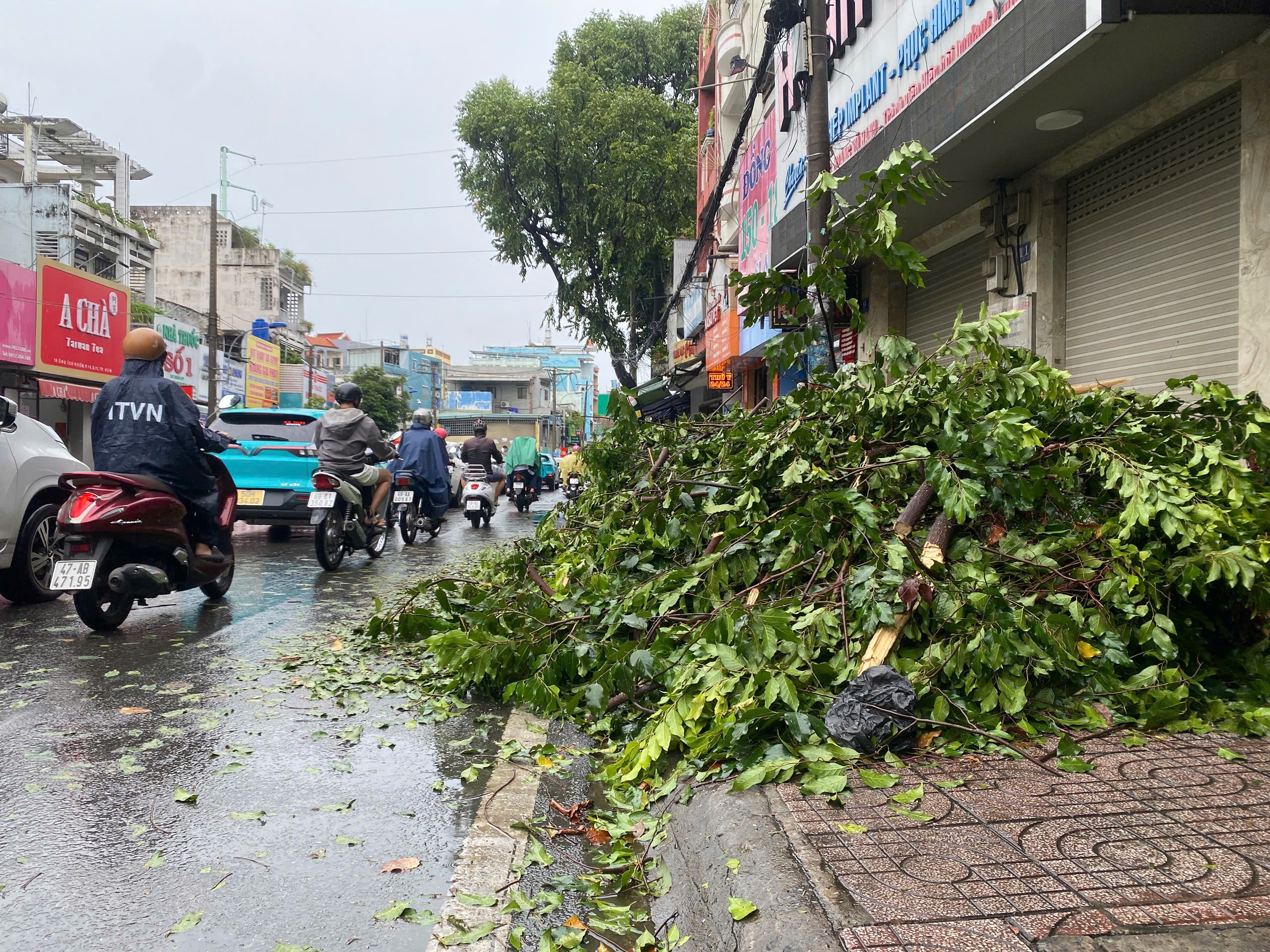 Giông lốc càn quét TP.HCM: Nhiều căn nhà tốc mái, cây xanh, cột điện ngã đổ- Ảnh 11.