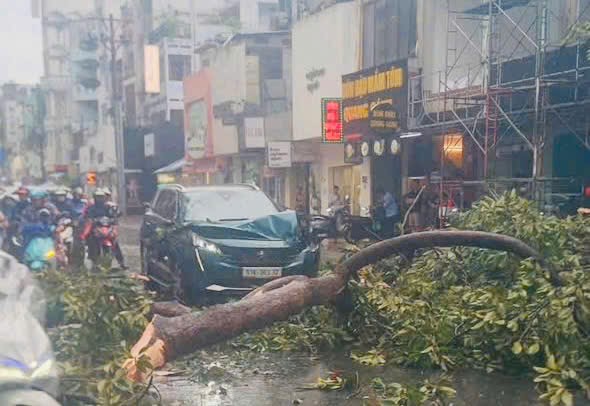 Giông lốc càn quét TP.HCM: Nhiều căn nhà tốc mái, cây xanh, cột điện ngã đổ- Ảnh 3.