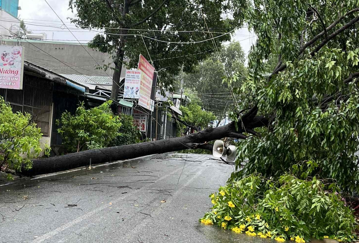 Đồng Nai: Nhiều nhà dân bị tốc mái, cây đổ đầy đường sau mưa dông- Ảnh 9. Đồng Nai: Nhiều nhà dân bị tốc mái, cây đổ đầy đường sau mưa dông- Ảnh 9.