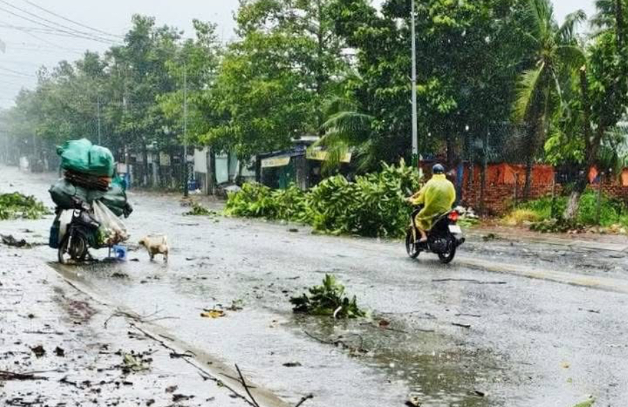 Đồng Nai: Nhiều nhà dân bị tốc mái, cây đổ đầy đường sau mưa dông- Ảnh 3. Đồng Nai: Nhiều nhà dân bị tốc mái, cây đổ đầy đường sau mưa dông- Ảnh 3.