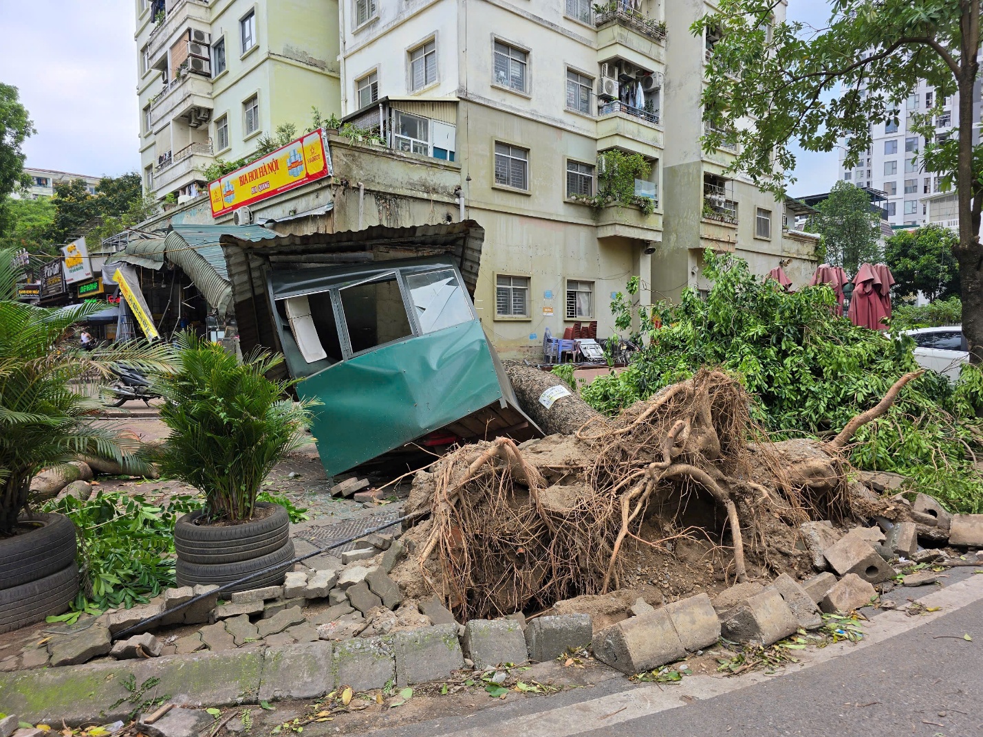 Hà Nội: Khẩn trương thu dọn hơn 940 cây đổ, gãy cành sau cơn dông bất thường- Ảnh 1.