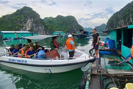 Bão số 3 Wipha: Hải Phòng lên phương án sơ tán gần 20.000 người- Ảnh 1. Bão số 3 Wipha: Hải Phòng lên phương án sơ tán gần 20.000 người- Ảnh 1.