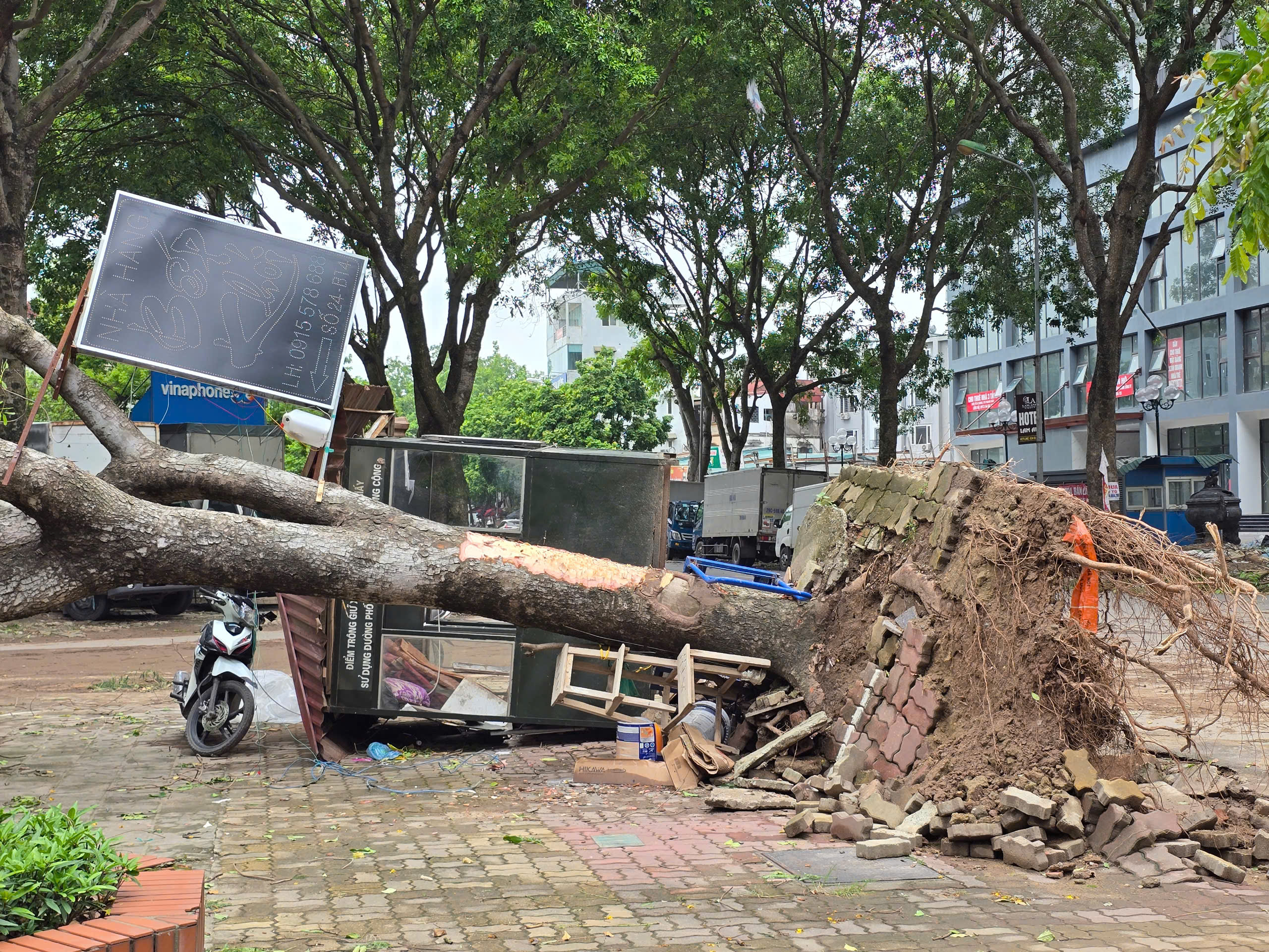Hà Nội: Khẩn trương khắc phục hậu quả sau giông lốc, giải cứu ô tô, xe buýt mắc kẹt- Ảnh 10.