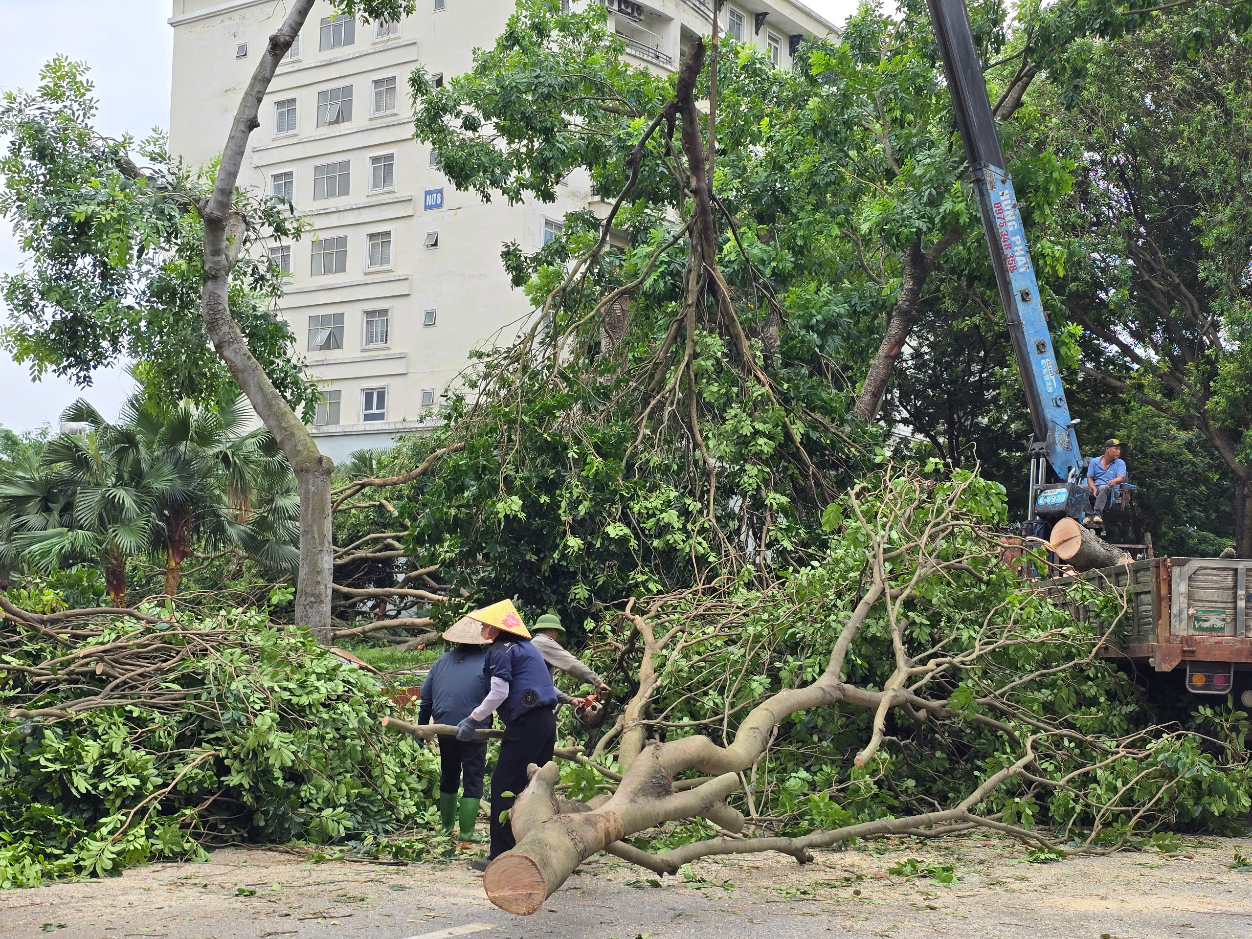 Hà Nội: Khẩn trương khắc phục hậu quả sau giông lốc, giải cứu ô tô, xe buýt mắc kẹt- Ảnh 14.