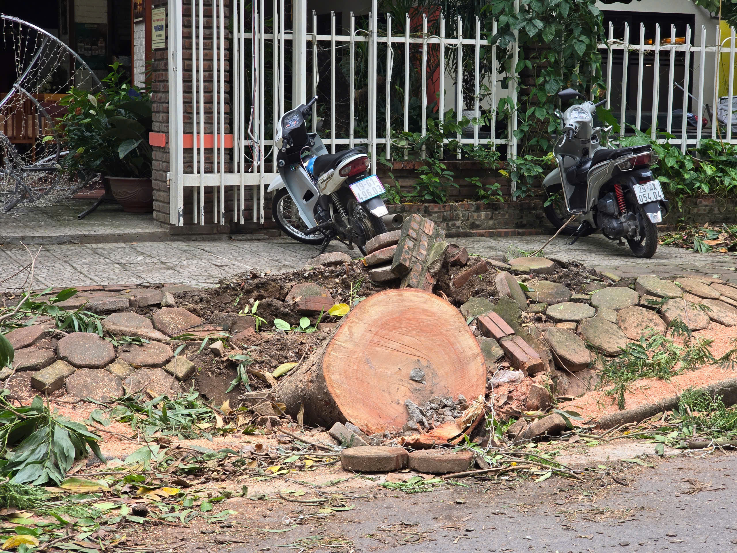 Hà Nội: Khẩn trương khắc phục hậu quả sau giông lốc, giải cứu ô tô, xe buýt mắc kẹt- Ảnh 13.