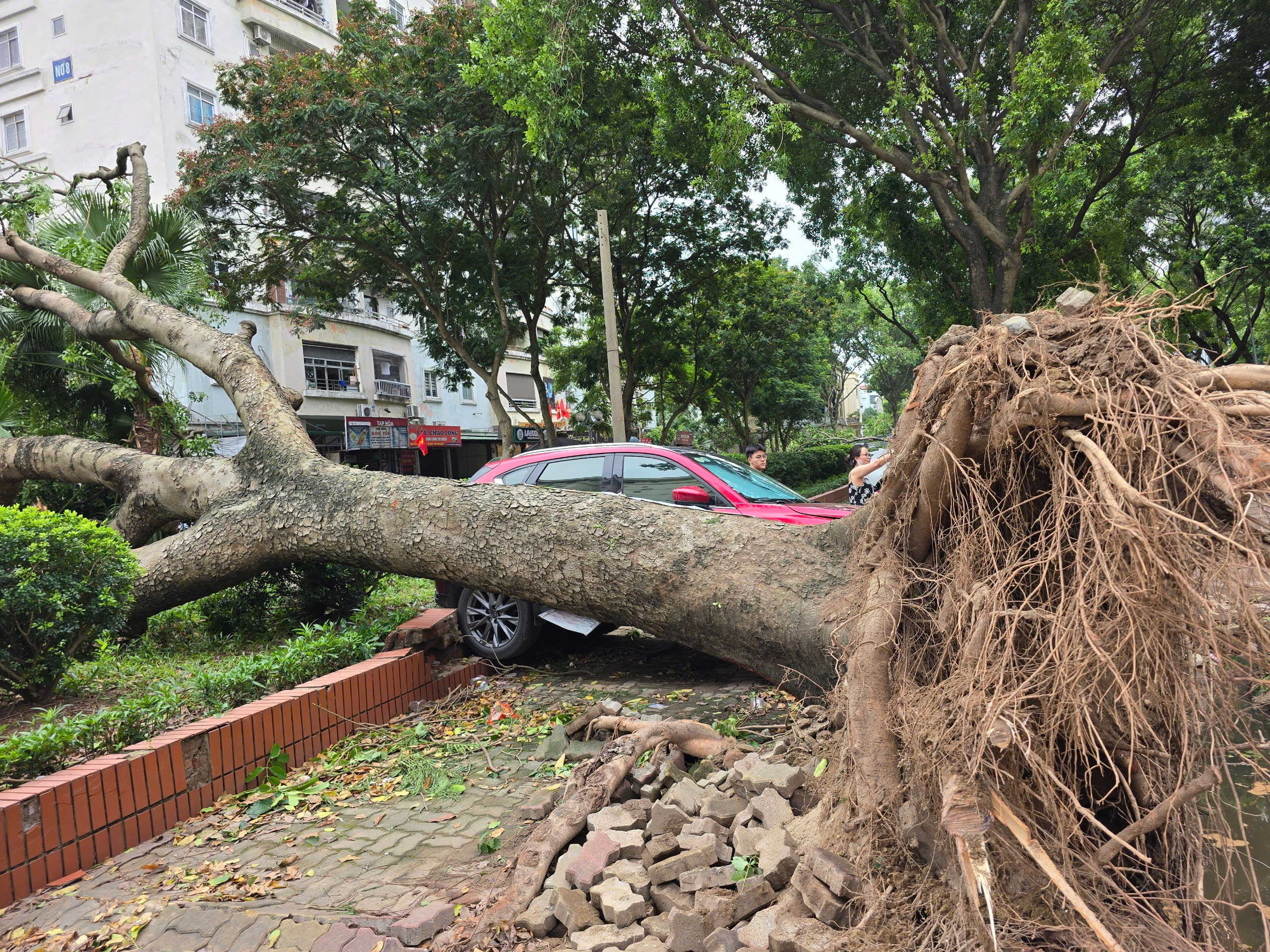 Hà Nội: Khẩn trương khắc phục hậu quả sau giông lốc, giải cứu ô tô, xe buýt mắc kẹt- Ảnh 1.