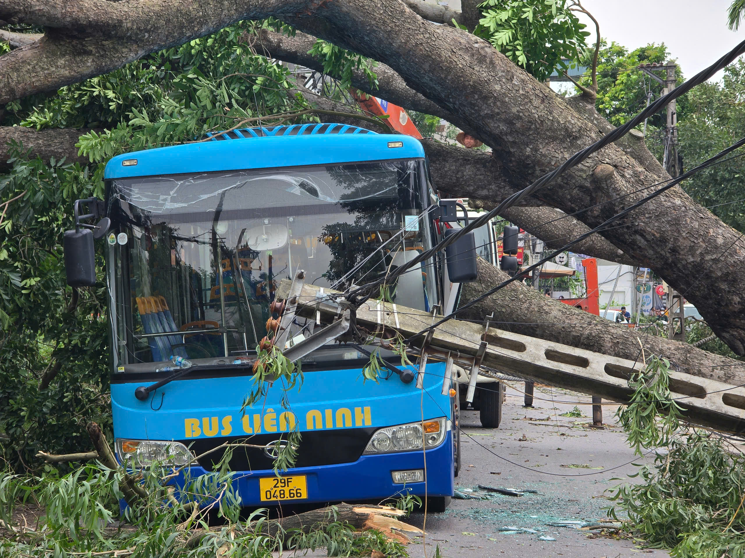 Hà Nội: Khẩn trương khắc phục hậu quả sau giông lốc, giải cứu ô tô, xe buýt mắc kẹt- Ảnh 5.