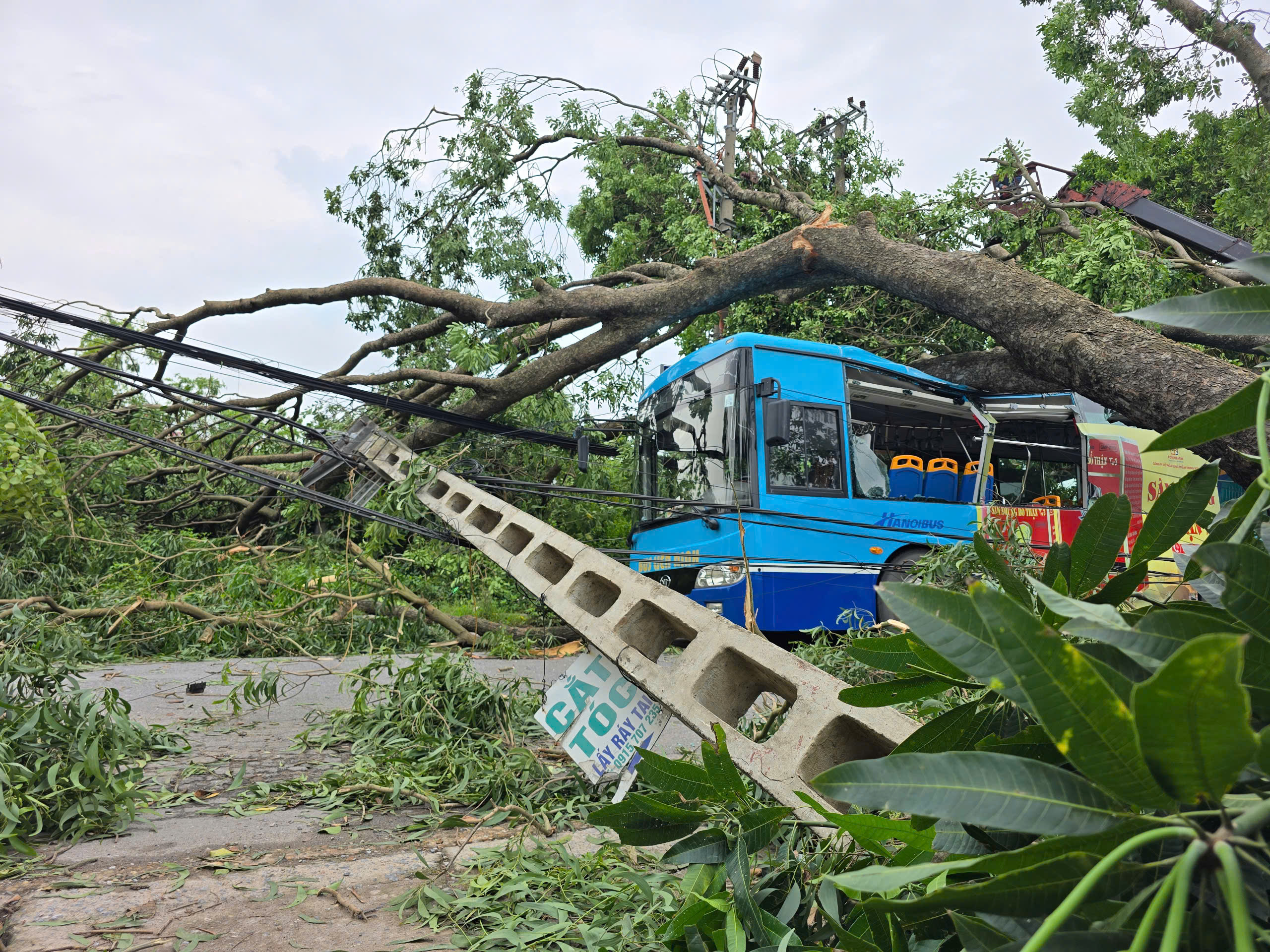Hà Nội: Khẩn trương khắc phục hậu quả sau giông lốc, giải cứu ô tô, xe buýt mắc kẹt- Ảnh 6.