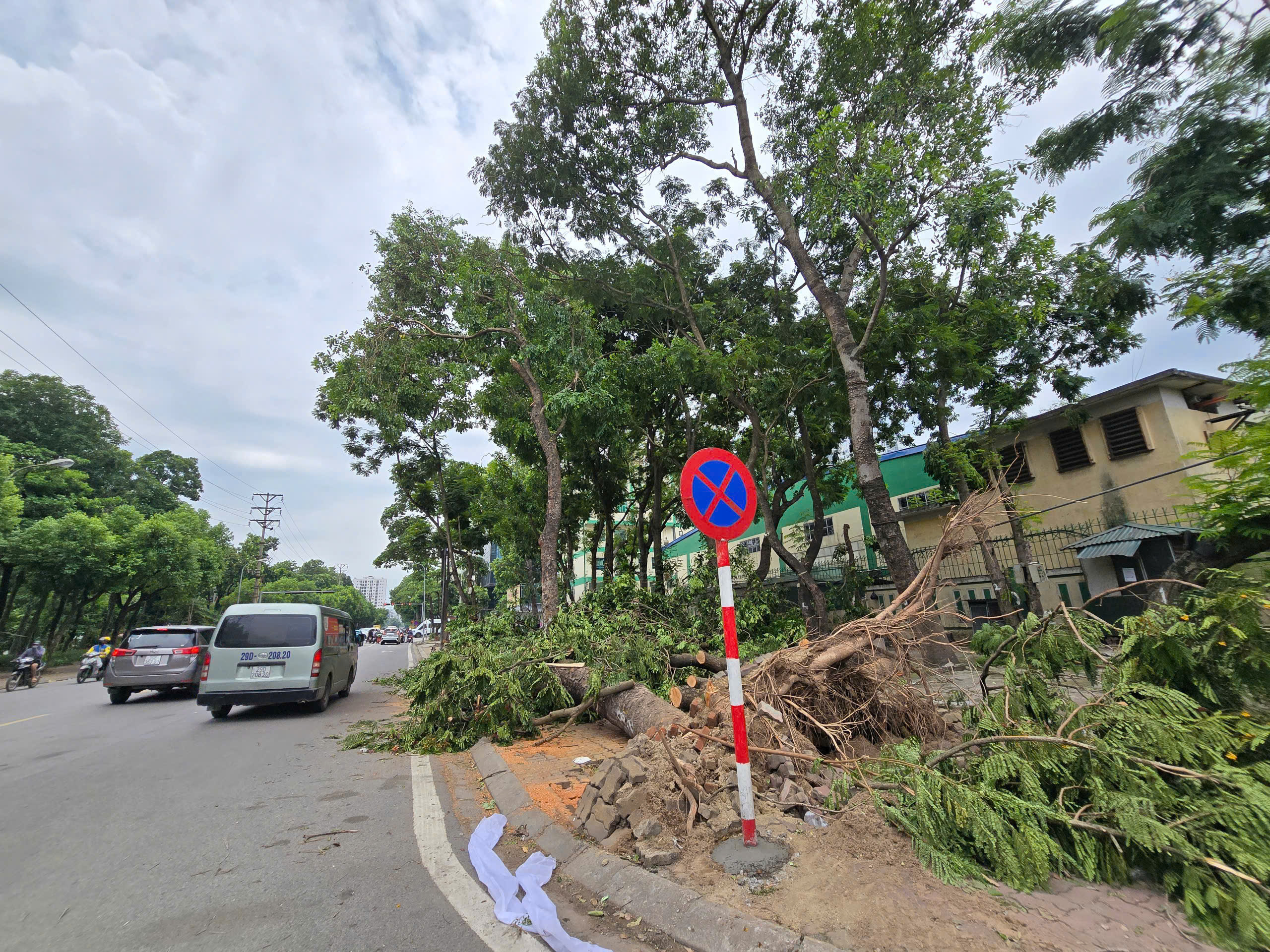 Hà Nội: Khẩn trương khắc phục hậu quả sau giông lốc, giải cứu ô tô, xe buýt mắc kẹt- Ảnh 20.