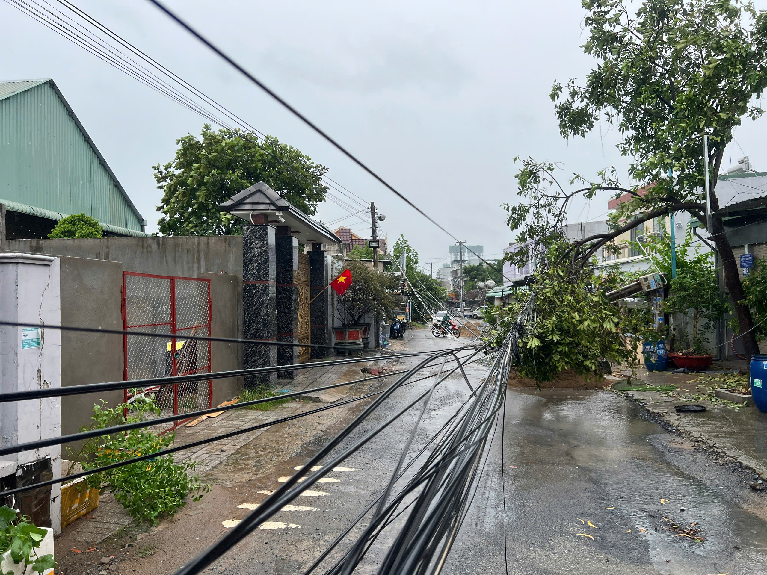 Giông lốc càn quét TP.HCM: Nhiều căn nhà tốc mái, cây xanh, cột điện ngã đổ- Ảnh 8.