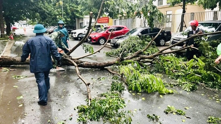 Hà Nội siết chặt bảo vệ di tích, đảm bảo y tế sẵn sàng ứng phó bão số 3- Ảnh 1. Hà Nội siết chặt bảo vệ di tích, đảm bảo y tế sẵn sàng ứng phó bão số 3- Ảnh 1.