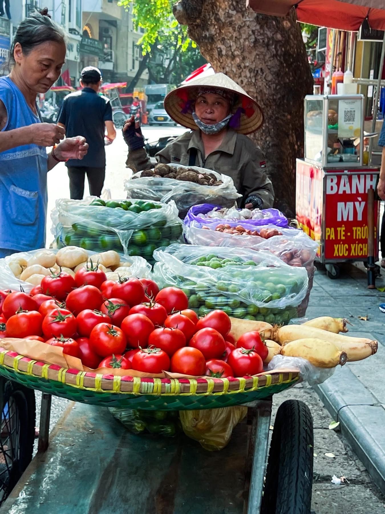 Hà Nội: Chính quyền hành động, người dân chủ động ứng phó bão số 3- Ảnh 10. Hà Nội: Chính quyền hành động, người dân chủ động ứng phó bão số 3- Ảnh 10.