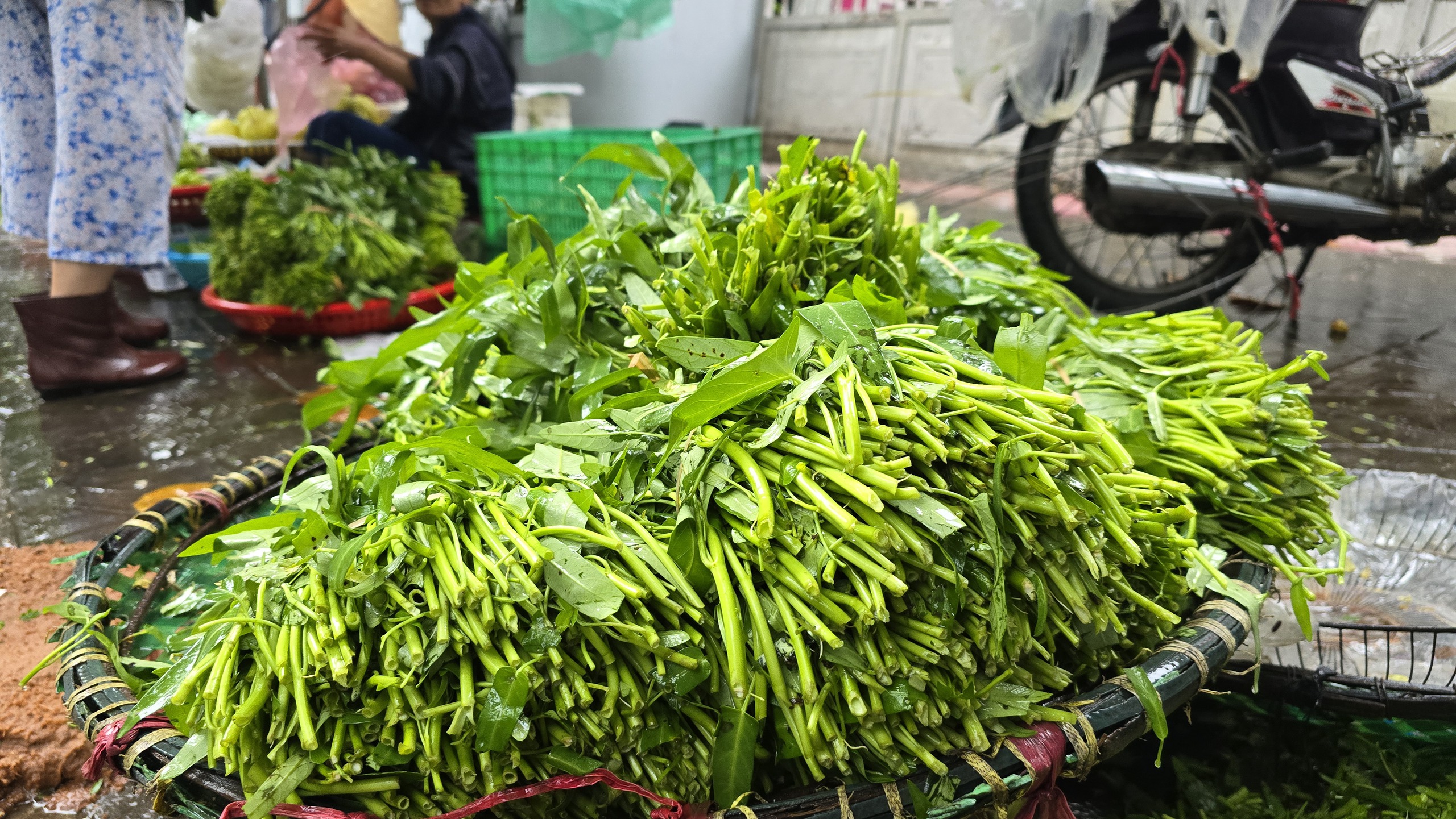 Dân tăng dự trữ hàng hoá chống bão Wipha, có siêu thị sức mua đột biến tới 200%- Ảnh 1. Dân tăng dự trữ hàng hoá chống bão Wipha, có siêu thị sức mua đột biến tới 200%- Ảnh 1.