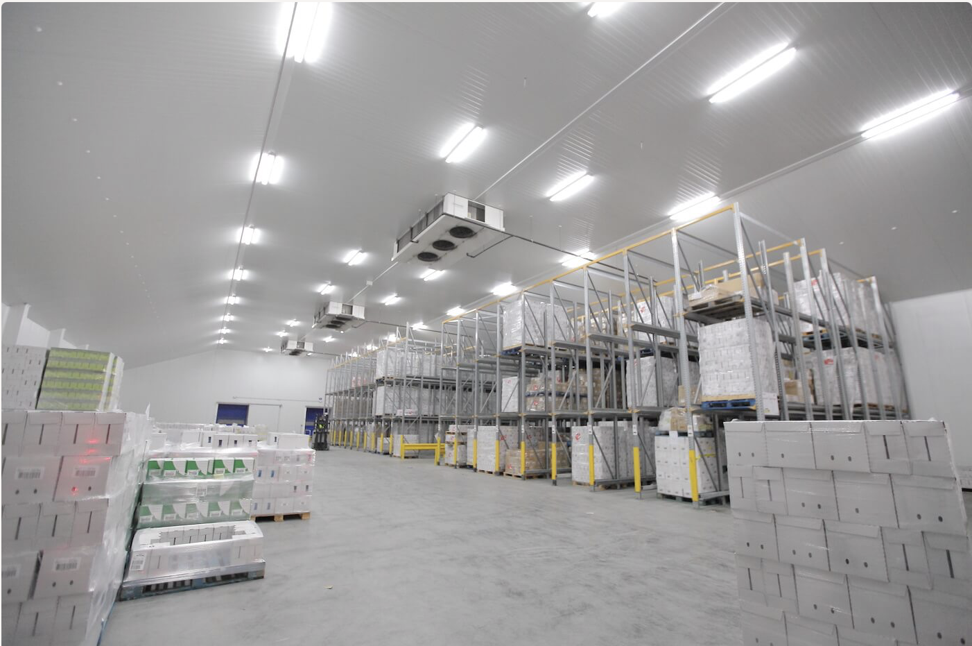 AI đang dần thay đổi chuỗi cung ứng lạnh- Ảnh 2. AI đang dần thay đổi chuỗi cung ứng lạnh- Ảnh 2.