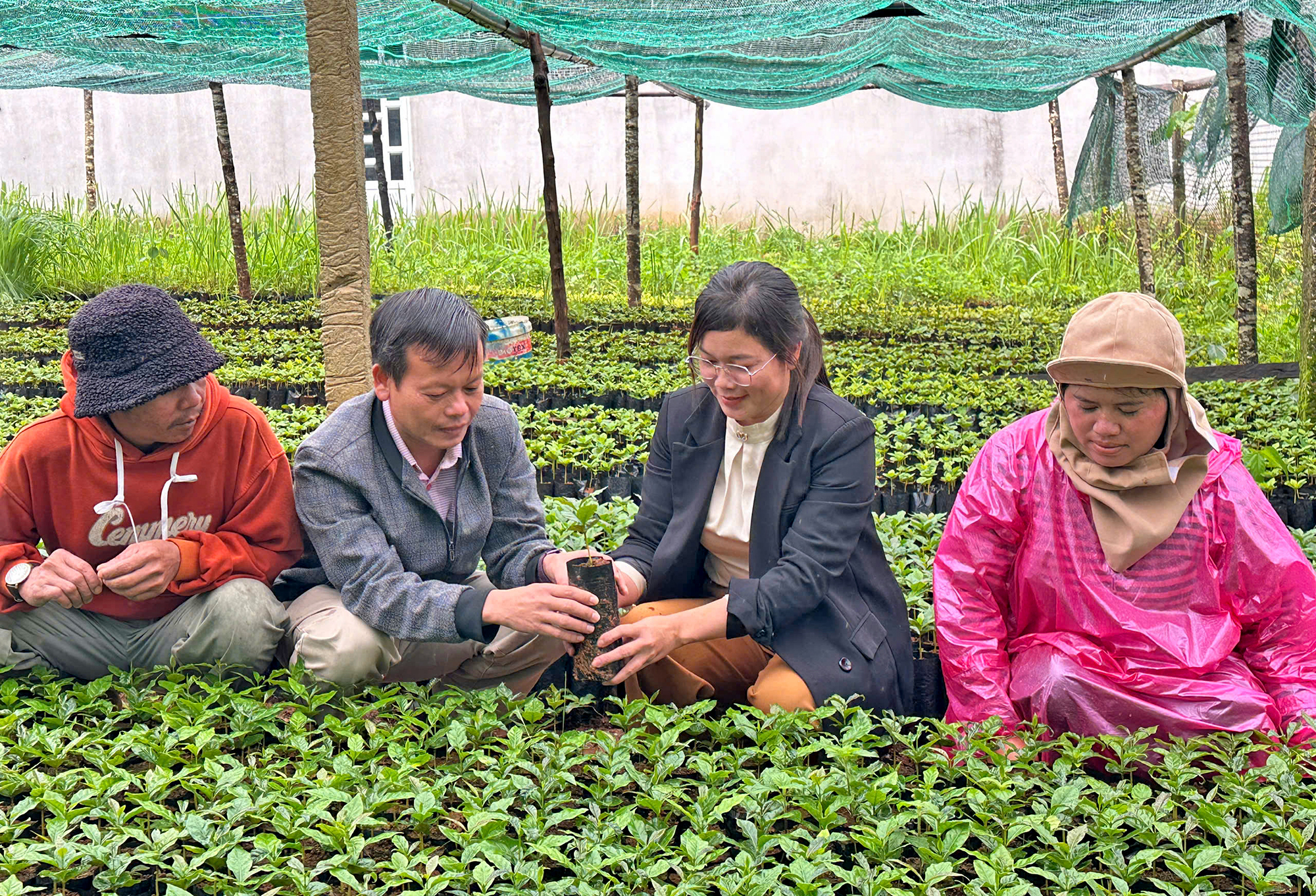Đại hội Đảng bộ xã “nhận cây giống, không nhận hoa”- Ảnh 1. Đại hội Đảng bộ xã “nhận cây giống, không nhận hoa”- Ảnh 1.
