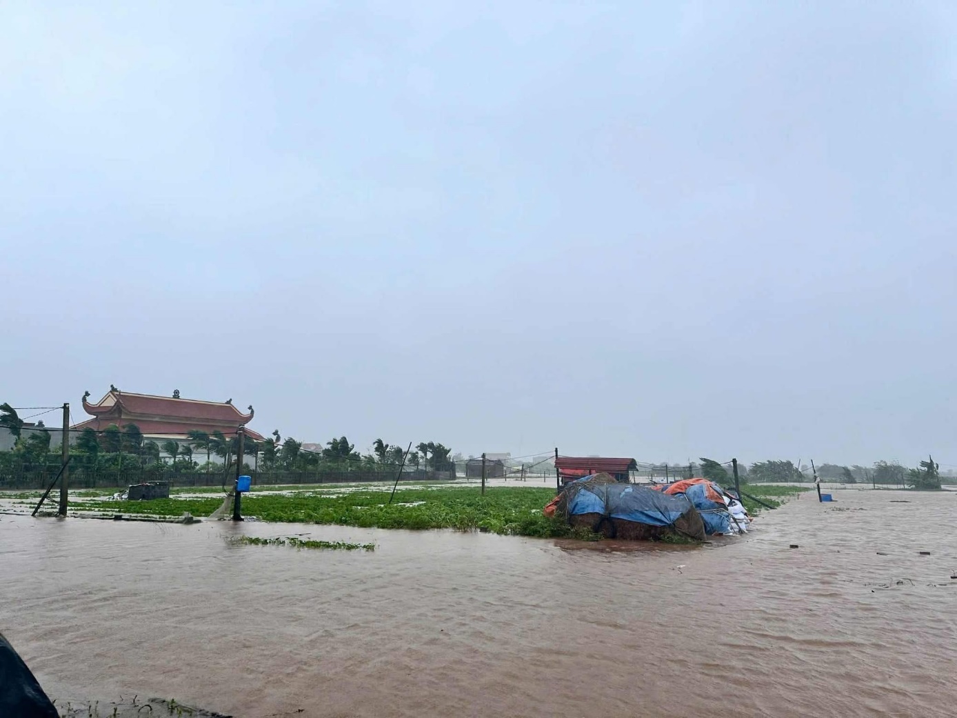 Diễn biến bão số 3: Nước ngập đến cổ, người dân Nghệ An chạy lũ trong đêm- Ảnh 14. Diễn biến bão số 3: Nước ngập đến cổ, người dân Nghệ An chạy lũ trong đêm- Ảnh 14.