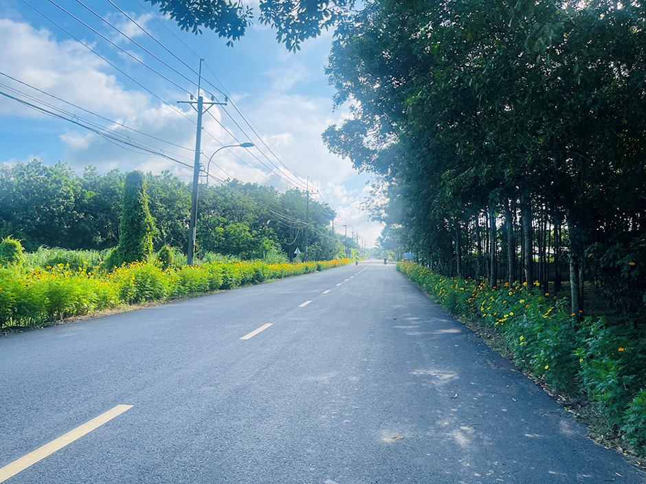 TP.HCM: Tất cả các xã hoàn thành tiêu chí nông thôn mới nâng cao- Ảnh 1.