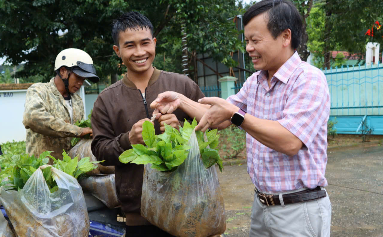 Hàng trăm nghìn cây giống trao tay đồng bào Tu Mơ Rông thay cho hoa chúc mừng đại hội- Ảnh 1. Hàng trăm nghìn cây giống trao tay đồng bào Tu Mơ Rông thay cho hoa chúc mừng đại hội- Ảnh 1.