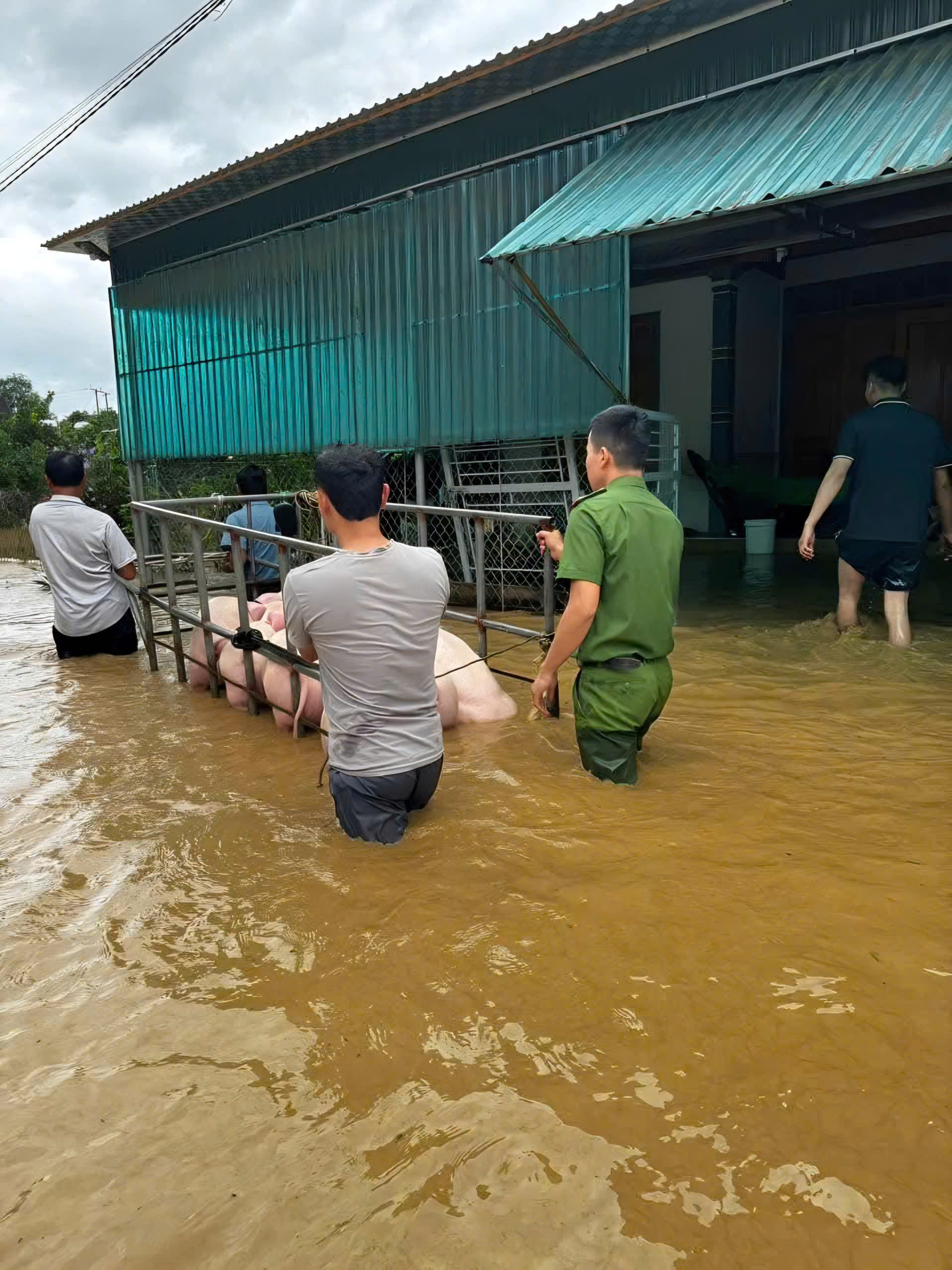 Nghe tin nhà bị lũ cuốn, người dân không về được do QL7 qua Nghệ An chìm trong biển nước- Ảnh 10.