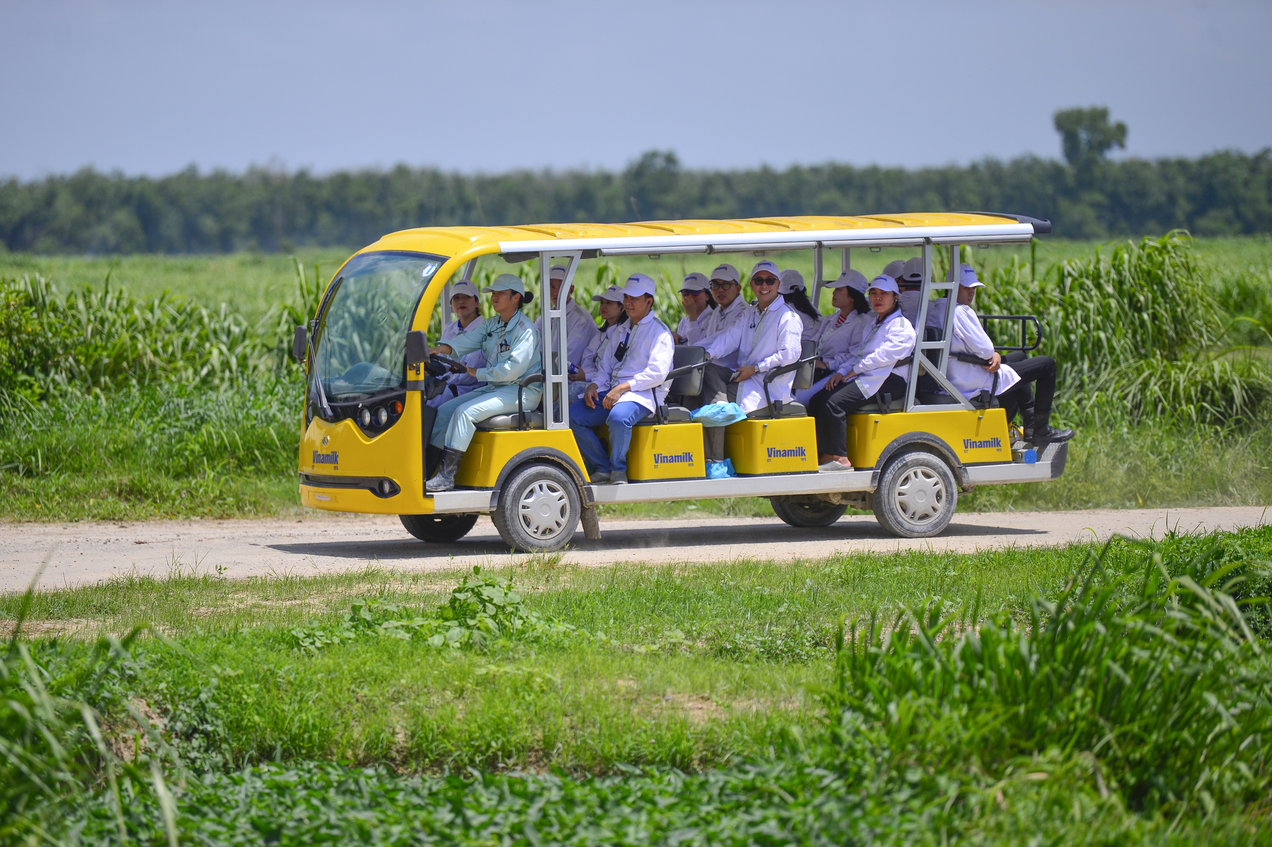 Dù thường xuyên đón các đoàn tham quan ngoài nước đến thăm, lần này, câu chuyện Green Farm Tây Ninh được kể qua một lăng kính mới. Những chiếc xe điện chở chúng tôi đến các khu vực chăn nuôi, trồng trọt, xử lý chất thải… tận mắt tìm hiểu cách Vinamilk "mở khóa" tự nhiên, biến vùng đất vốn nắng gió, cằn cỗi hoang hóa thành một trang trại với mệnh danh "resort bò sữa", theo định hướng phát triển bền vững. Dù thường xuyên đón các đoàn tham quan ngoài nước đến thăm, lần này, câu chuyện Green Farm Tây Ninh được kể qua một lăng kính mới. Những chiếc xe điện chở chúng tôi đến các khu vực chăn nuôi, trồng trọt, xử lý chất thải… tận mắt tìm hiểu cách Vinamilk "mở khóa" tự nhiên, biến vùng đất vốn nắng gió, cằn cỗi hoang hóa thành một trang trại với mệnh danh "resort bò sữa", theo định hướng phát triển bền vững.