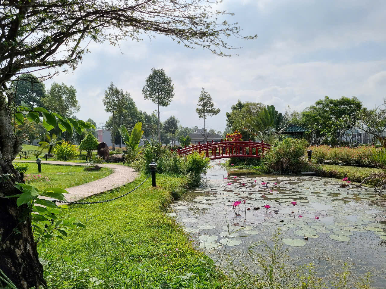 KITA Airport City bàn giao sổ hồng, khẳng định cam kết pháp lý tường minh- Ảnh 4. A pond with a bridge and trees AI-generated content may be incorrect.