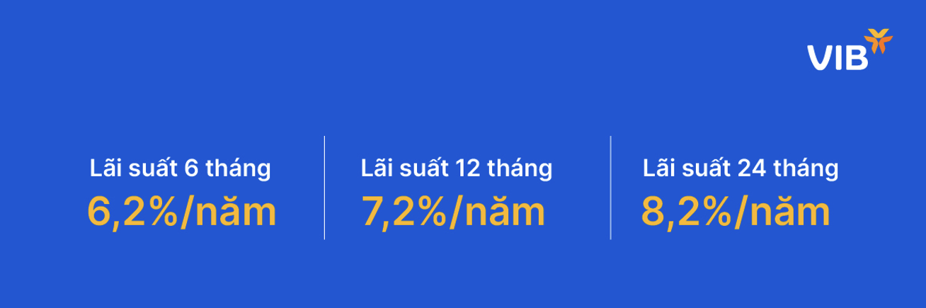 VIB: Vay mua nhà không còn là áp lực, linh hoạt thiết kế gói theo nhu cầu- Ảnh 3. VIB: Vay mua nhà không còn là áp lực, linh hoạt thiết kế gói theo nhu cầu- Ảnh 3.