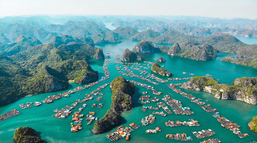 Giải mã sức hút bền vững và tiềm năng du lịch bốn mùa tại Flamingo Cát Bà Resorts- Ảnh 1.
