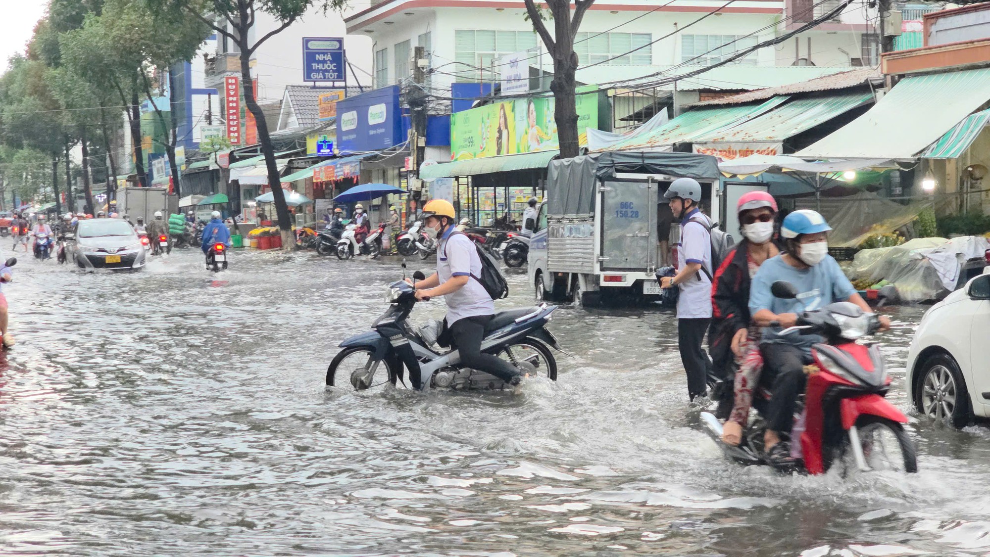 Chủ tịch Cần Thơ treo thưởng "nóng" cho người hiến kế chống ngập- Ảnh 2. Chủ tịch Cần Thơ treo thưởng "nóng" cho người hiến kế chống ngập- Ảnh 2.