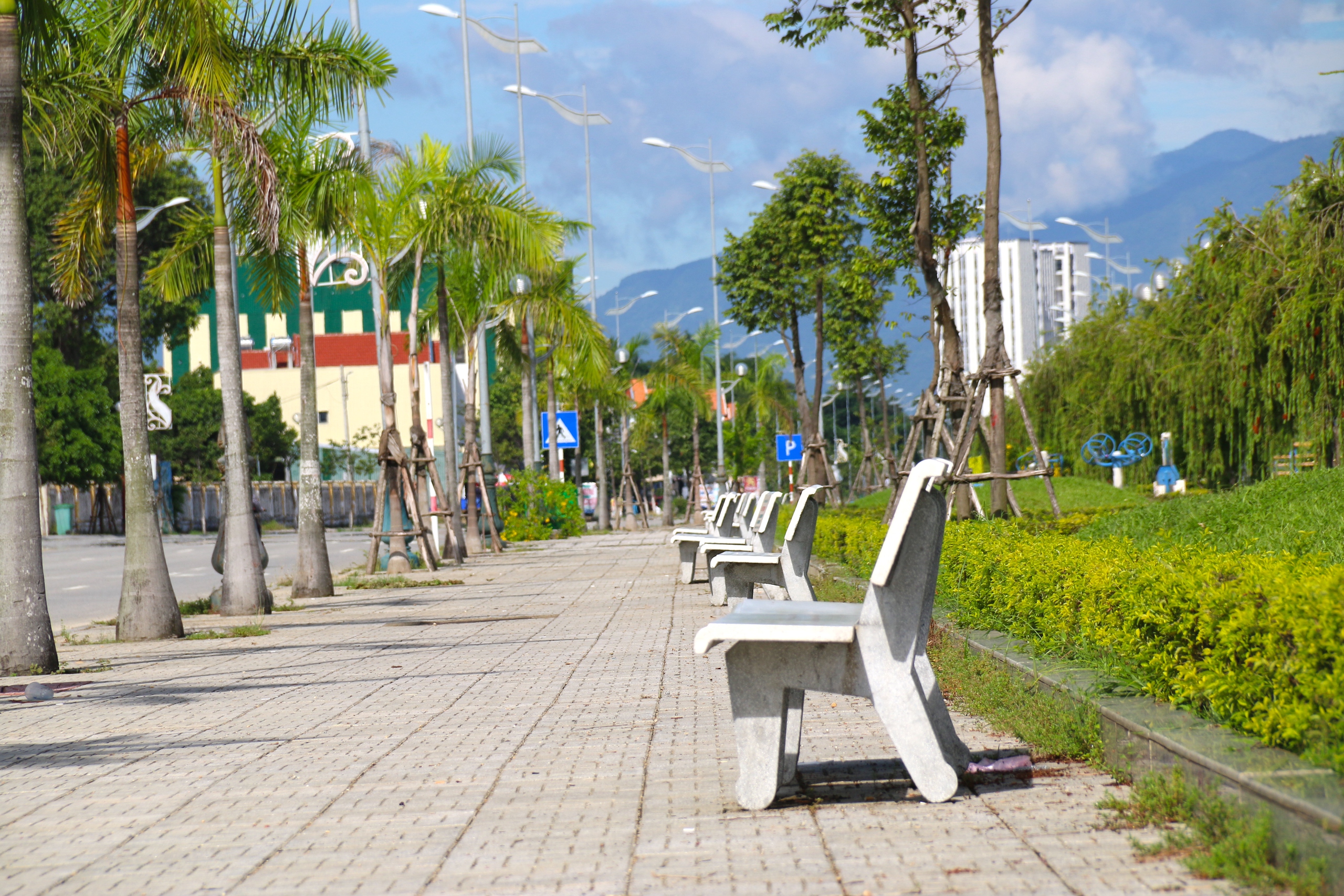 Ngắm hai cung đường đẹp ở Quảng Ngãi- Ảnh 15. Ngắm hai cung đường đẹp ở Quảng Ngãi- Ảnh 15.