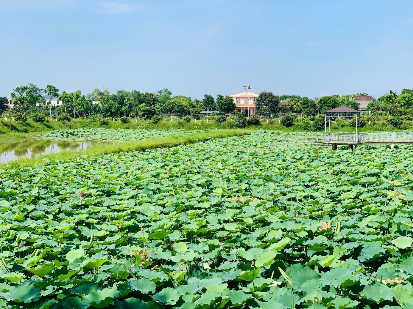 Hà Tĩnh cho thuê 576ha đất có tiềm năng khai thác phục vụ phát triển du lịch- Ảnh 1. Hà Tĩnh cho thuê 576ha đất có tiềm năng khai thác phục vụ phát triển du lịch- Ảnh 1.