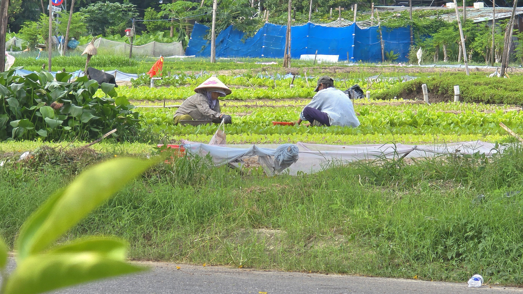 Cận cảnh khu đất Đà Nẵng sắp đấu giá làm tổ hợp pháo hoa quốc tế gần 11.000 tỷ đồng- Ảnh 7. Cận cảnh khu đất Đà Nẵng sắp đấu giá làm tổ hợp pháo hoa quốc tế gần 11.000 tỷ đồng- Ảnh 7.